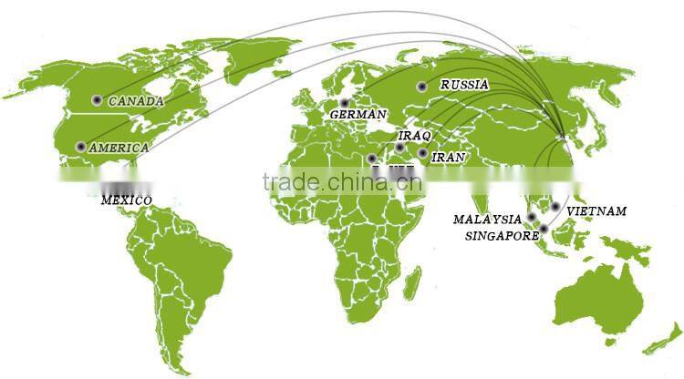 2015 crop edible light board pumpkin seed kernel in China