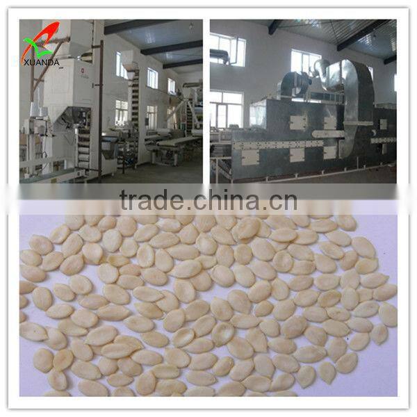 White Pure Watermelon seed kernels