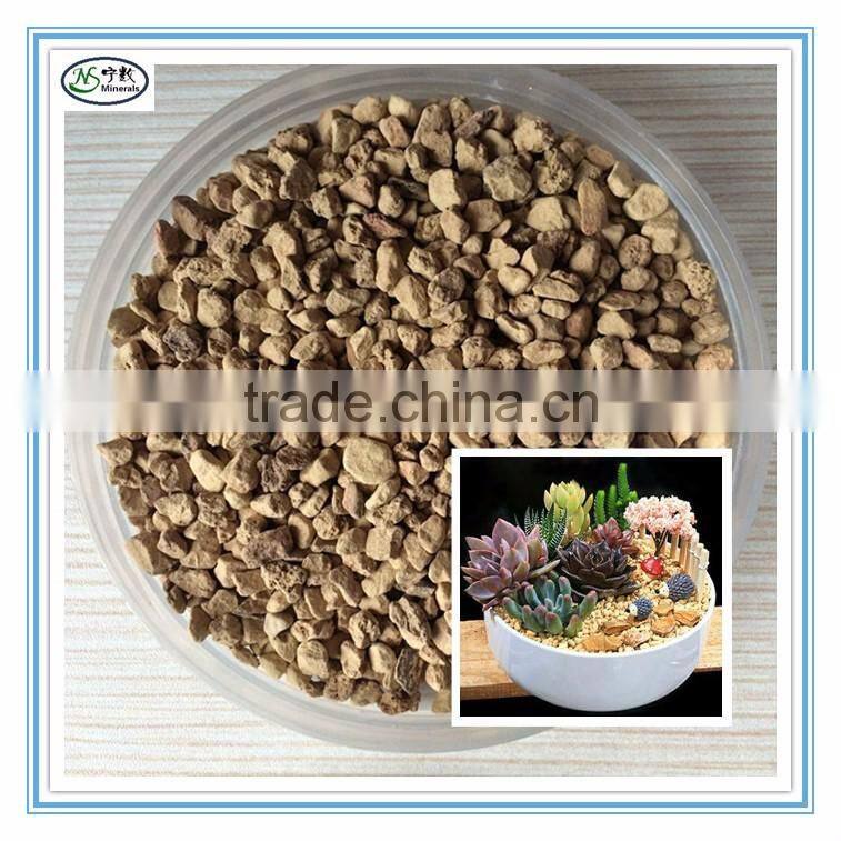 Organic Gardening and Aquarium Filter Diatomaceous Earth Diatomite Food Grade for Sale