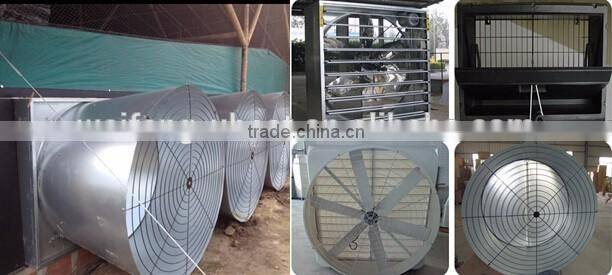 Steel Frame Type and Steel Material metal poultry shed/galvanized chicken equipments shed /chicken house shed