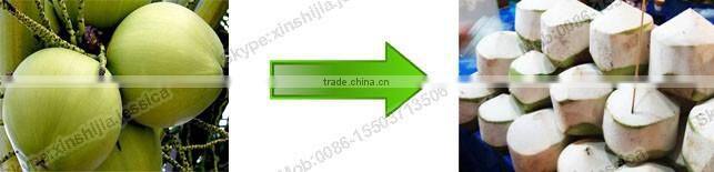 Hot selling automatic coconut processing machine