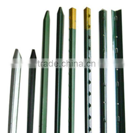 vineyard post/grape stake support(professional manufacturer)