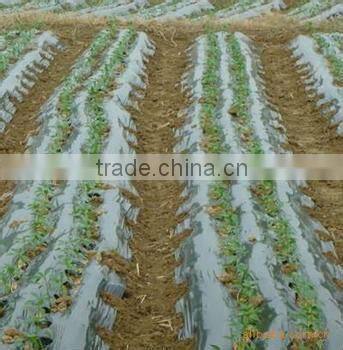 ldpe agriculture greenhouse/mulch film