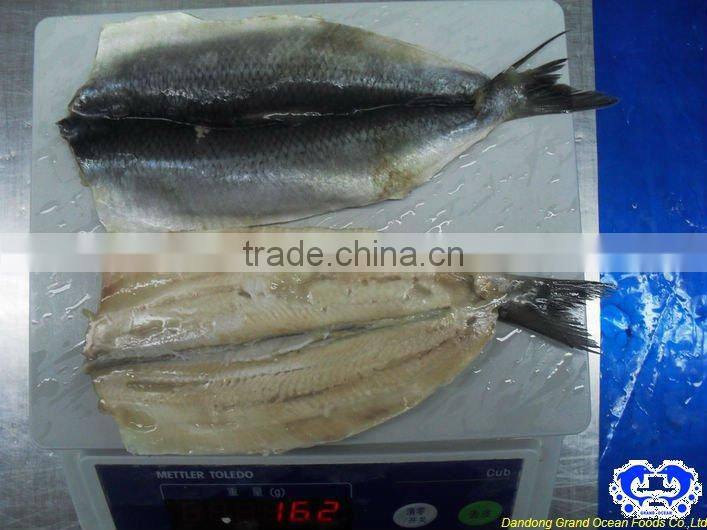frozen fish herring fillet