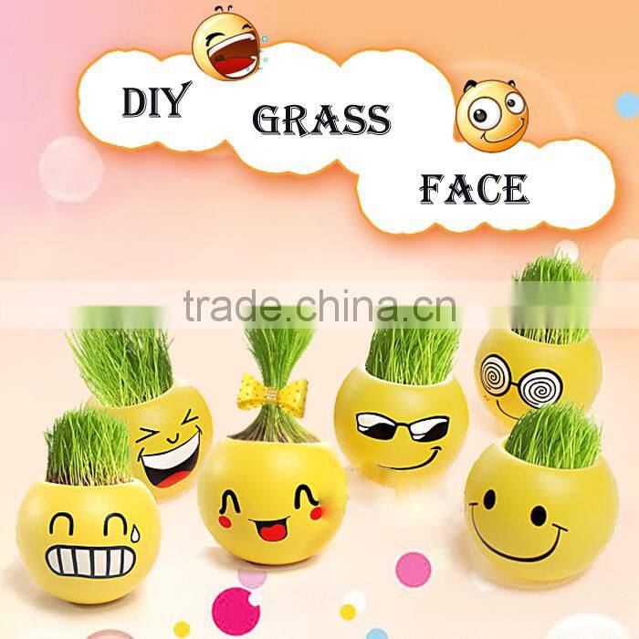 Mini Garden growing grass hair toy growing grass head toys 002-2(ceramic colour glaze)