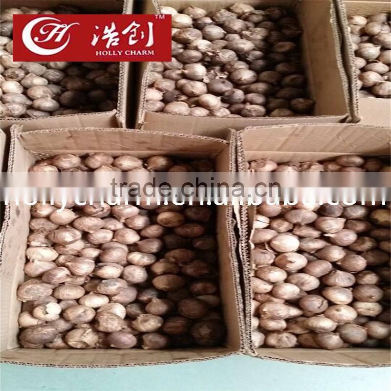 Fair price solo black garlic