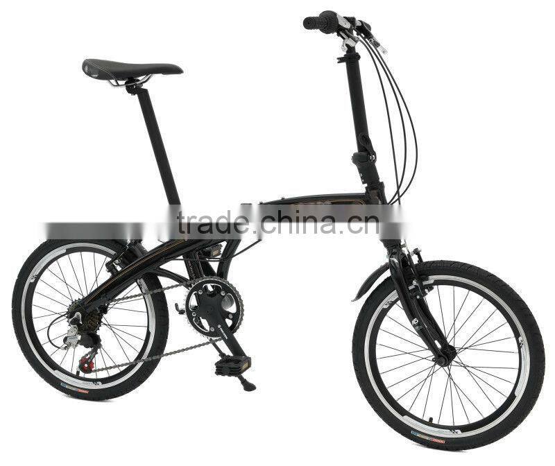 20 Folding Bike