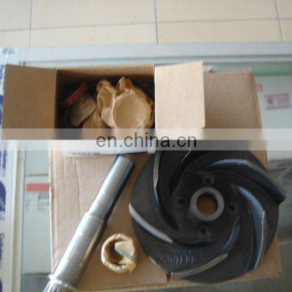 Cummins K50 diesel Pump repair kits 3803285