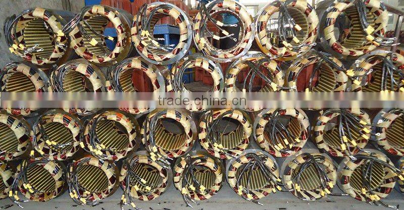 Asynchronous and Three-phase vibration motor company