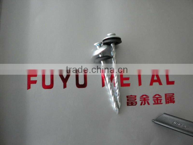 galvanized roofing nails with umbrella head/umbrella head nails /galvanzied roofing nail