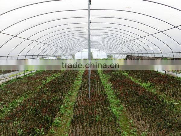 low cost greenhouse tunnel