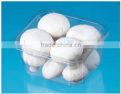 China Manufacturer Plastic Vacuum Forming Fresh Meat Fruit Disposable Plastic Food Container