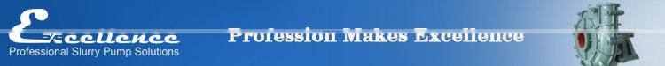 Alibaba China Supplier Coal Washery Horizontal Centrifugal Water Pump