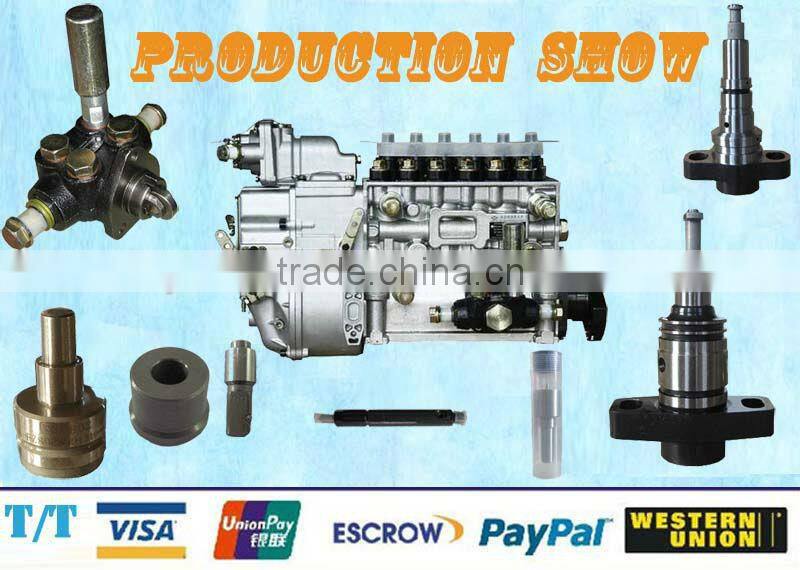 BP6411 P9 fuel injection pump
