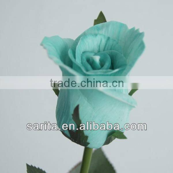 factory price artificial real touch flower rose with blue colors