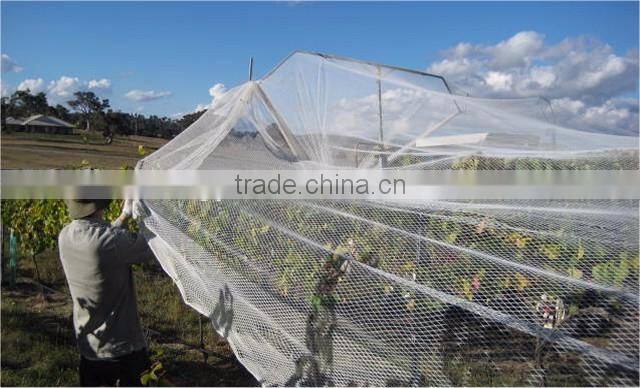 Anti-Bird Net For Garden bird control net, plastic hdpe anti bird net