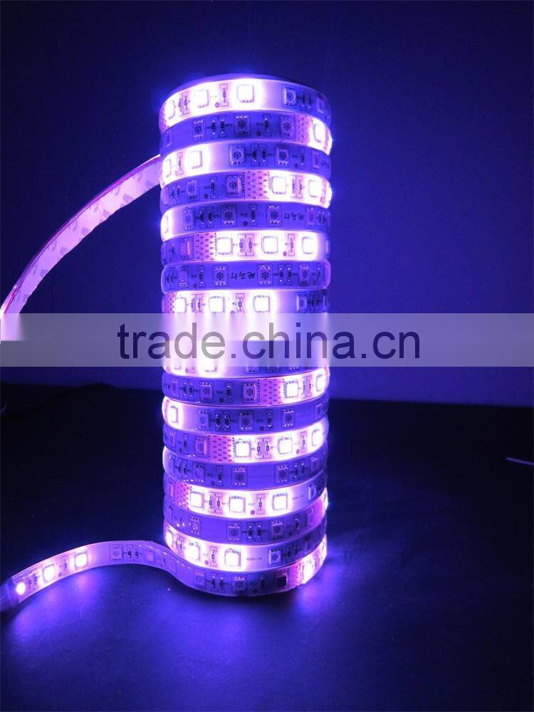 led flexible strip light/flexible led strip lights 220v