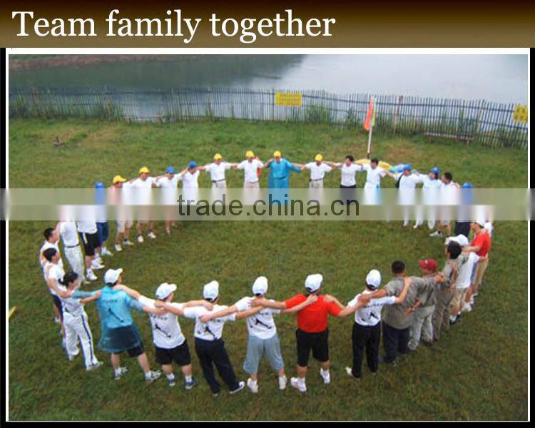 Modern Classic Royal Throne wedding chair JC-K03