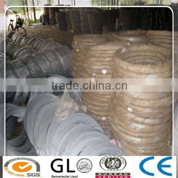 Electro Galvanized Iron Wire/Galvanized Iron Wire for Binding Use