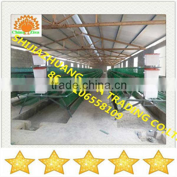 china zisa factory mainly produce Poultry chicken layer cage farm equipments cheap price
