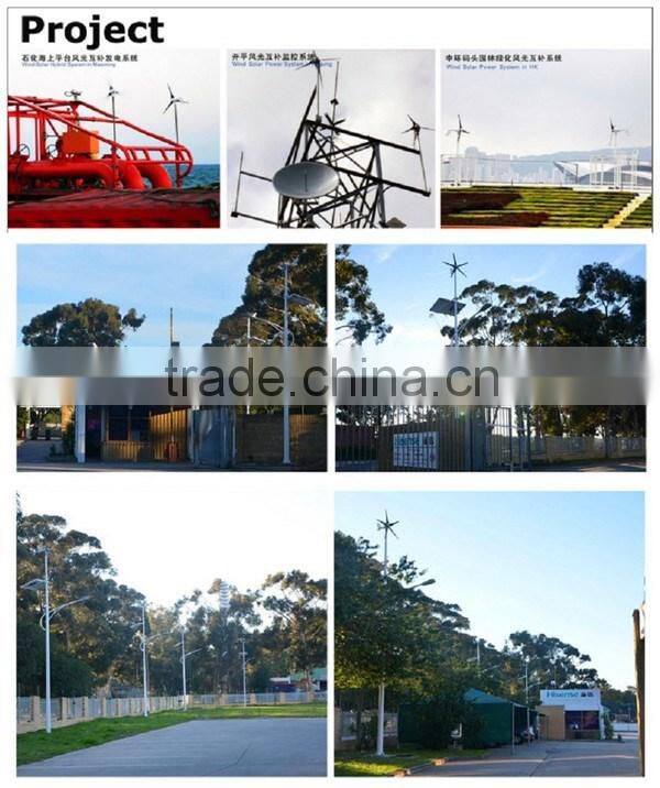 Professional Service And High Quality Spiral Wind Turbine