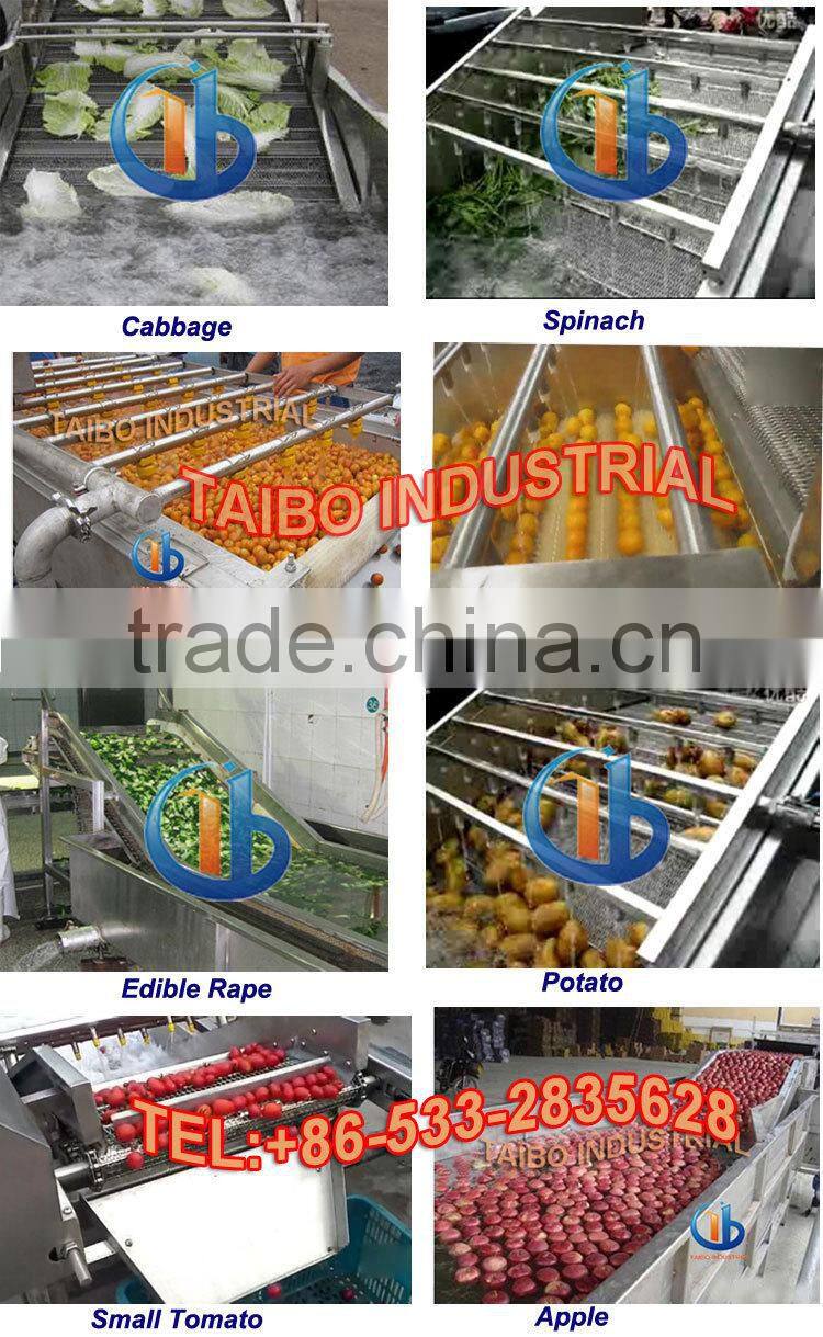 Small and Medium Size Vegetable and Fruit Washing Machine