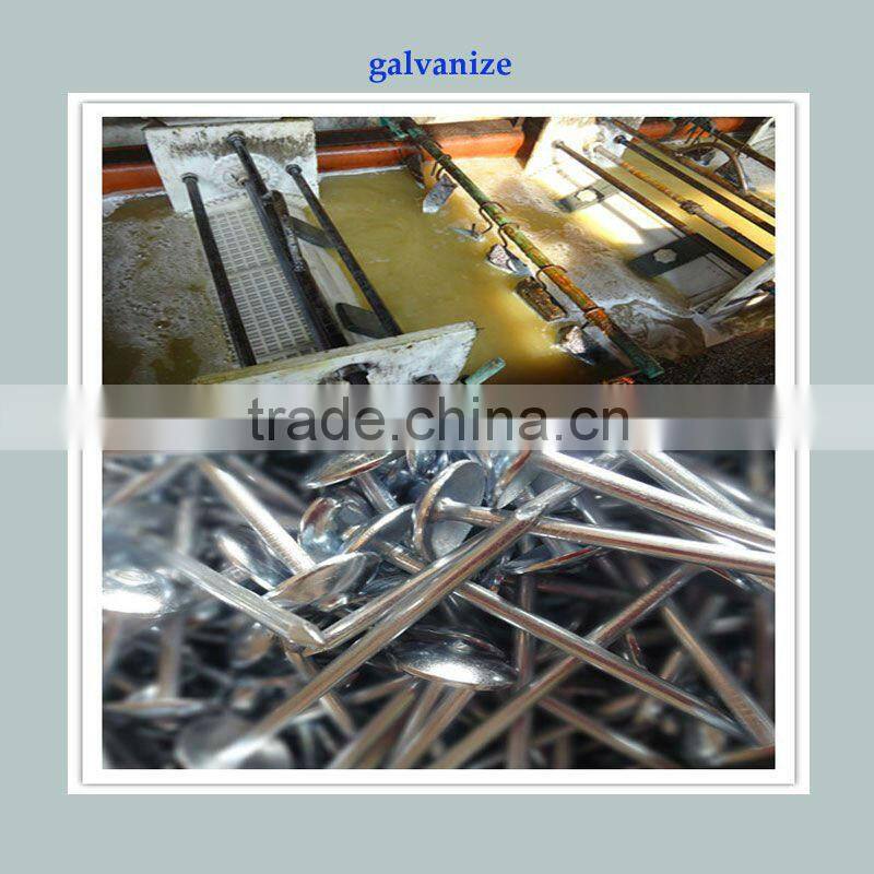 9 bwg eletro galvanized roofing nail with umbrella head