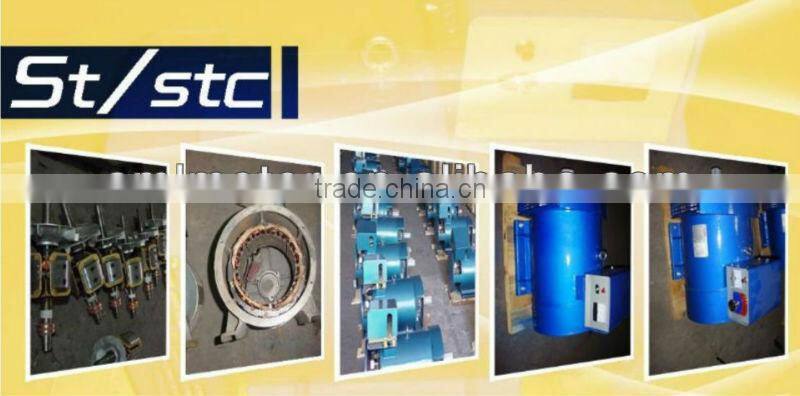 Fujian Three Phase Permanent Magnet Alternator