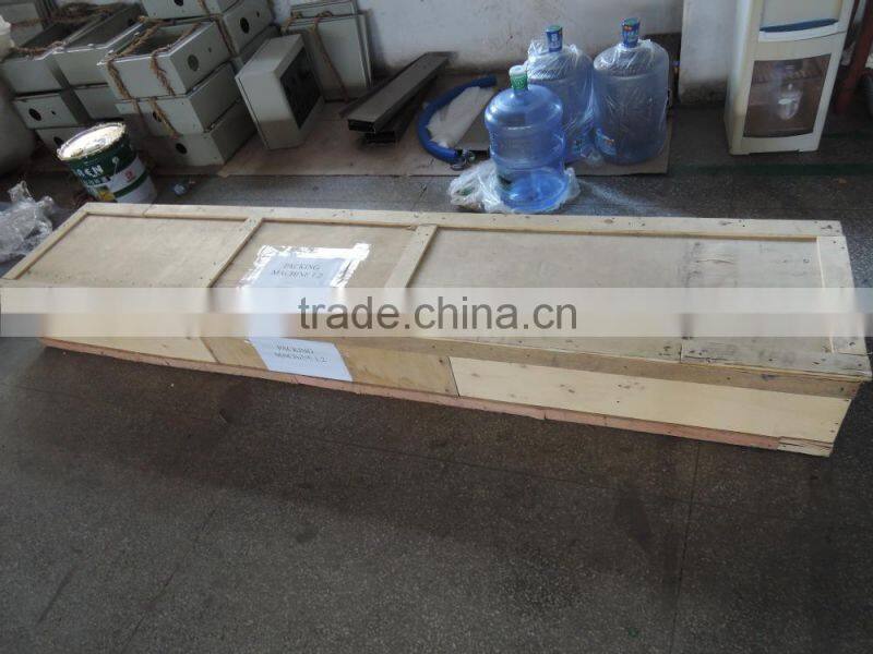 Reciprocating pillow packing machine for toast,sliced bread ( DCTWB-450W)