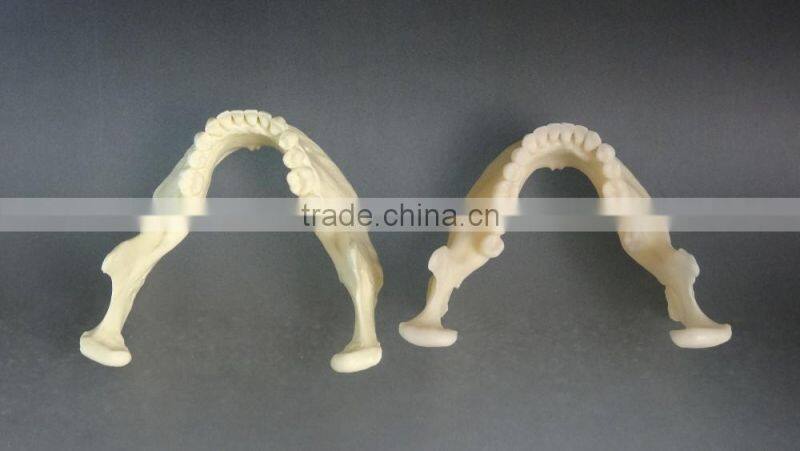 Dental simulation mandibular model DEA-41
