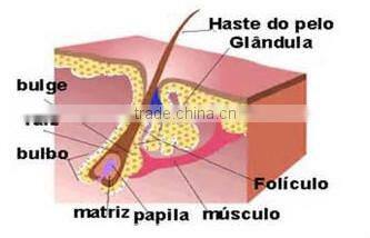 Mini IPL laser hair removal machine home use/Salon