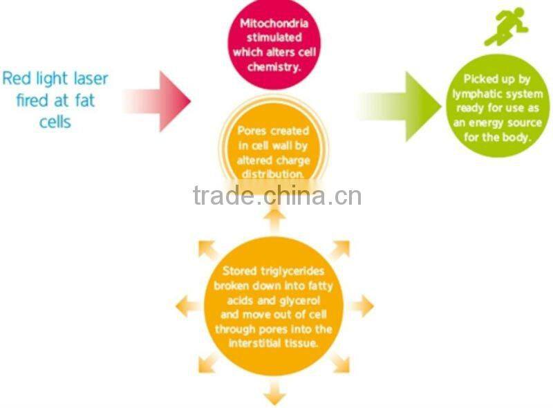 2013 New Arrival! portable diode laser