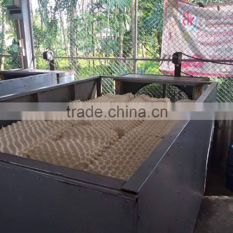 Natural Latex Pillow Thailand