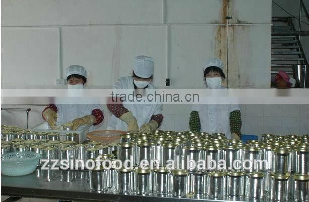 Canned Food Tin Canned Fruit Cocktail in Light Syrup