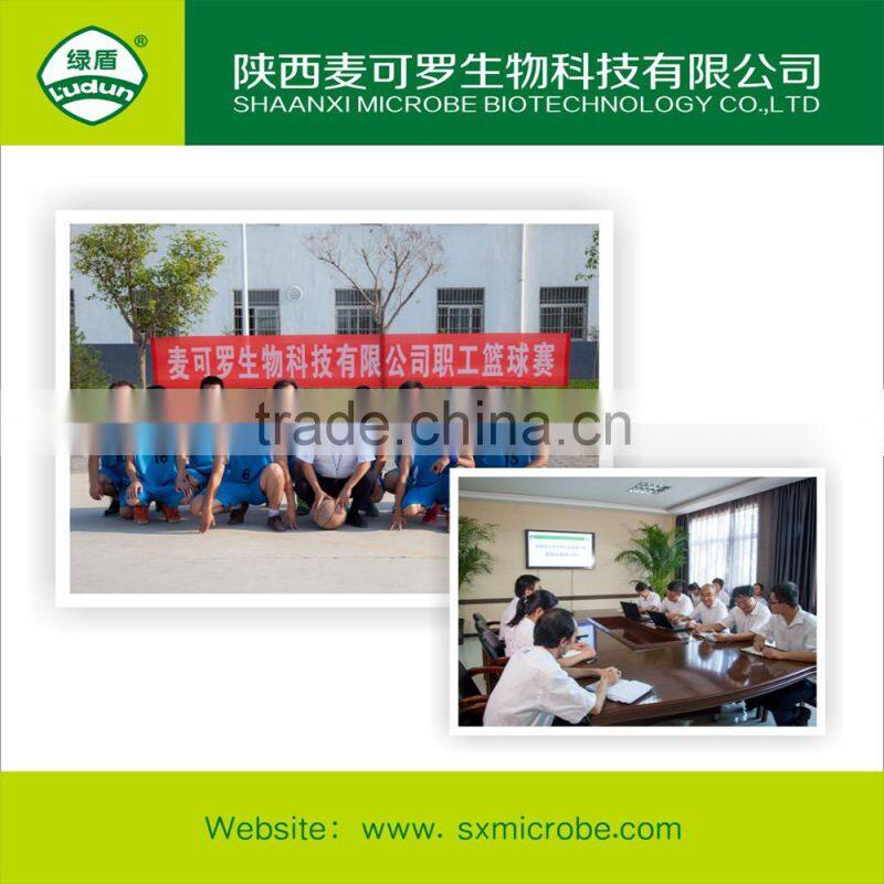 High quality fungicide kasugamycin 70% TC