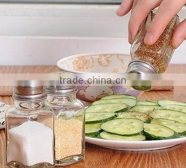 janpanese glass seasoning shaker spice bottle