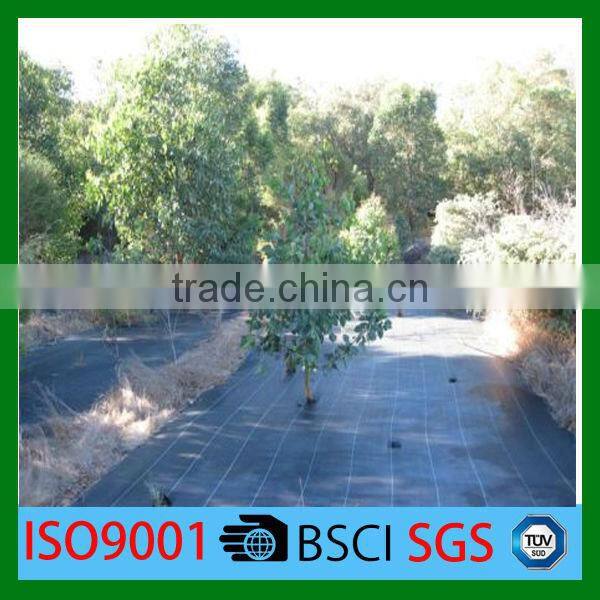 100 new material HDPE Anti U.V. Agriculture Ground Cover