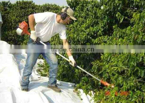 Cheap Coffee Beans Harvester with CE,25.6CC,QT-CBS-260