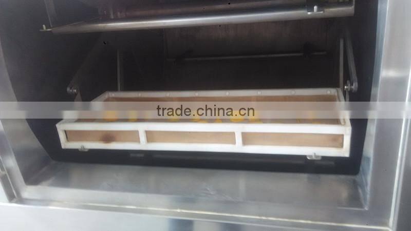 Tropical Food Machinery Mango Processing