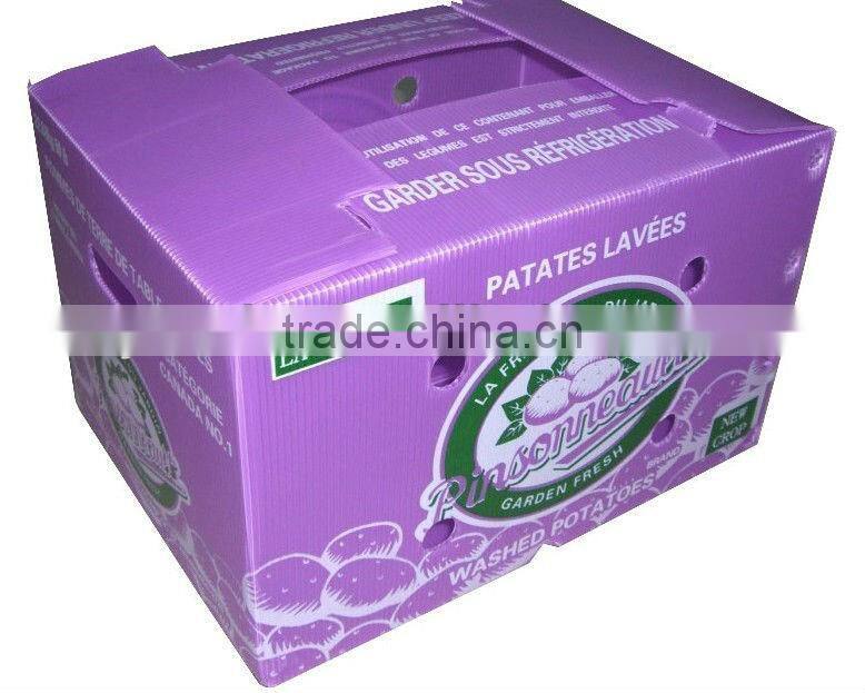 Corrugated plastic board/Corex board