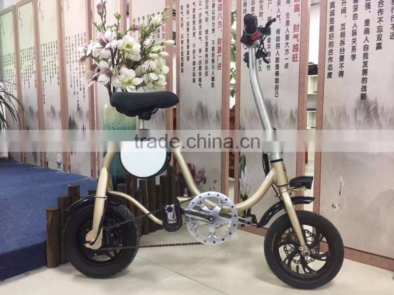 2017 New Arrival Electric Folding Bike, Unique Design High Quality 36V 250W Folding Electric Bicycle For Wholesale