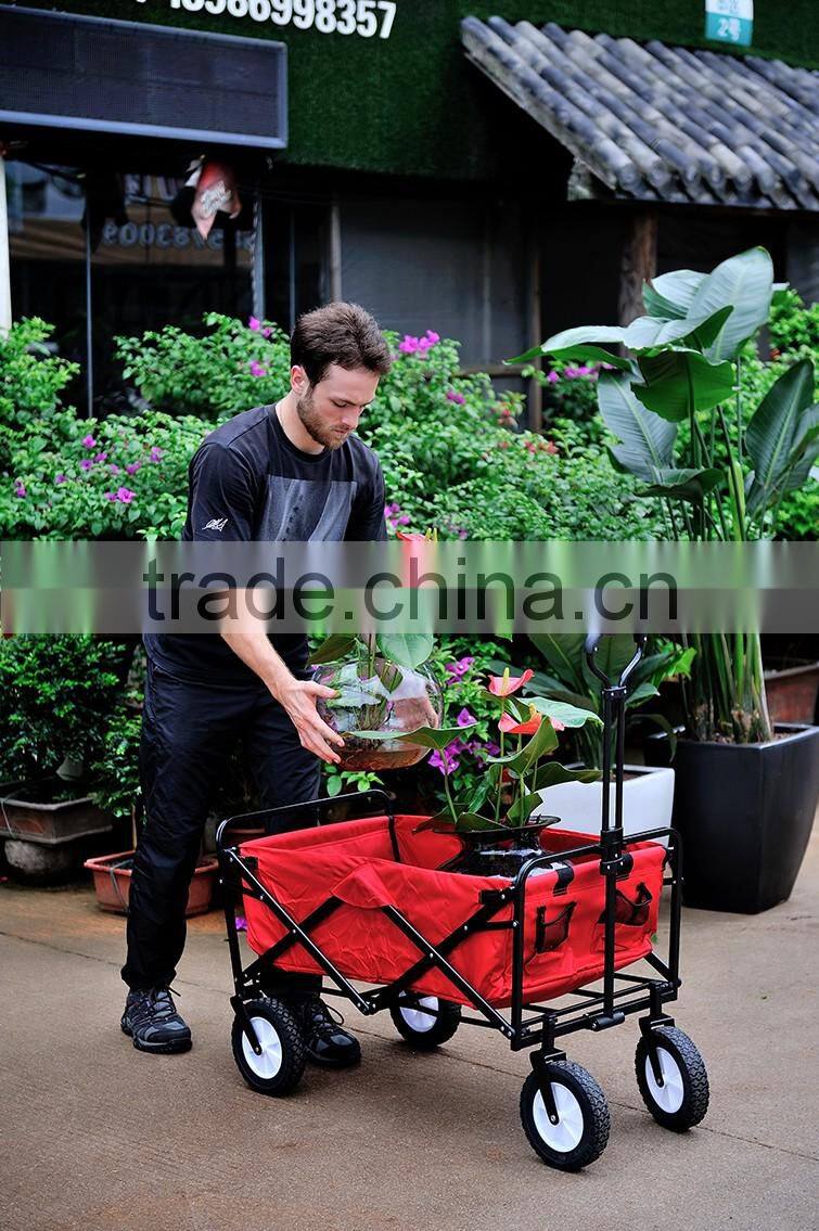 Picnic/Shopping Cart