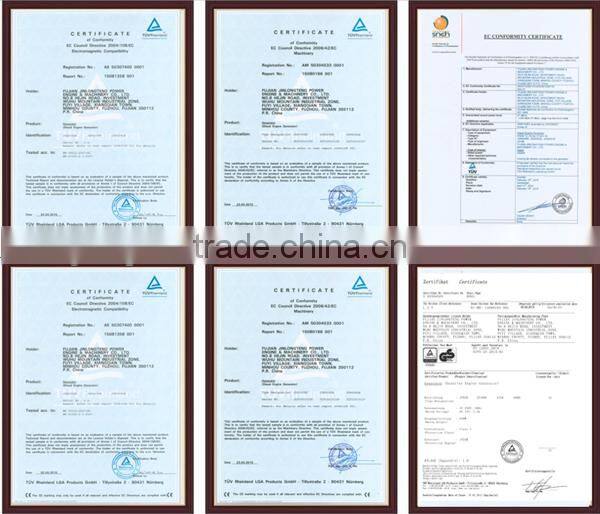 10kva Brushless Water cooled 4stroke Laidong diesel generator Chinese engine