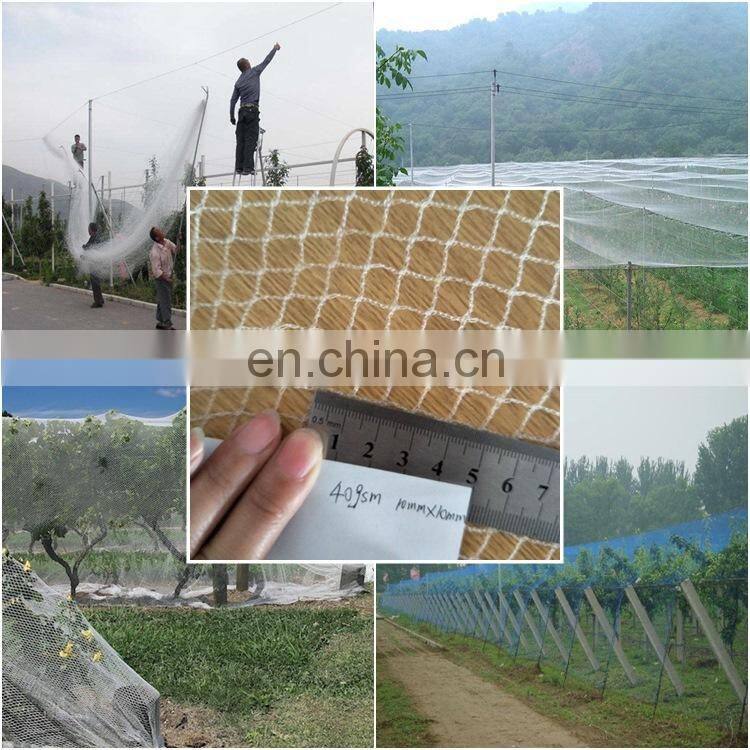 HDPE/ Nylon 1/2 inch bird netting for chick coop