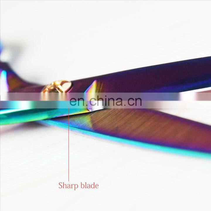 Purple titanium 6.0 inch hairdresser shear hair salon product hot sale hair scissors