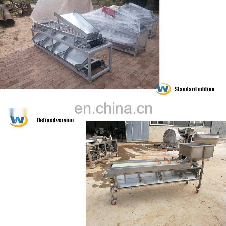 Multi-function Apple Potato tomato round vegetable GJFJ500 orbital type date sorting Sorter machine