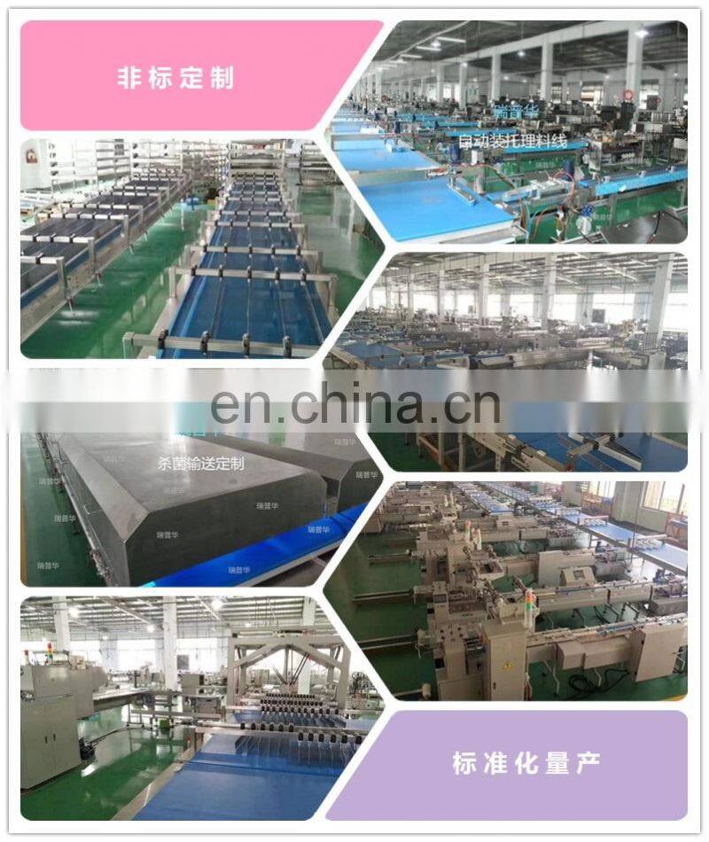 Flow Pack Small Dried Mango Cookies Candy Pillow Wrapping Packaging Machinery Dried Fruit Horizontal Packing Machine