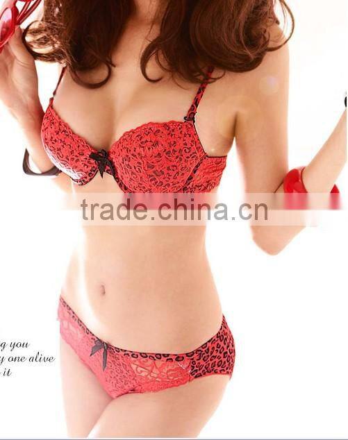 2013-2014 Woman sexy women lingerie undrewear