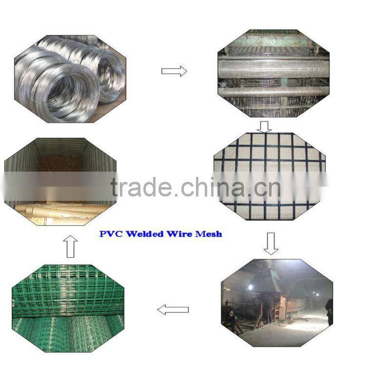 Hebei High Quality 2x2 galvanized welded wire mesh