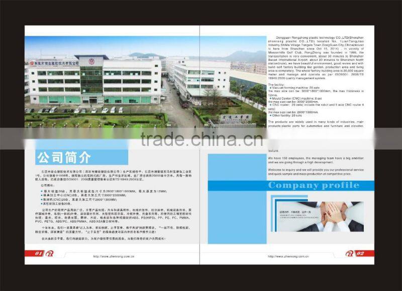 Large vacuum forming display shelf